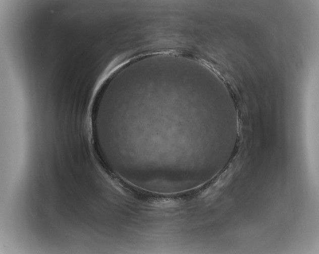 X0000112950198200908311516