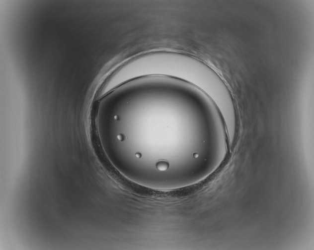 X0000112950199200908311516