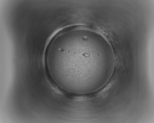 X0000112950200200908311516