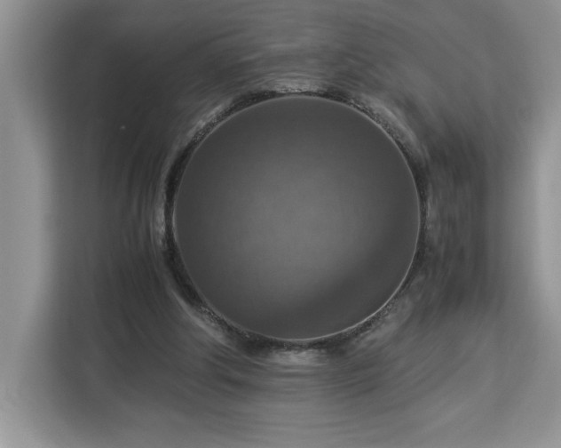 X0000112950202200908311516