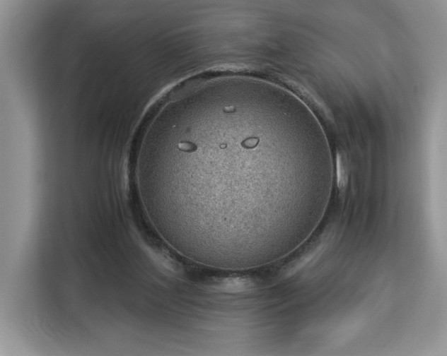 X0000112950204200908311516