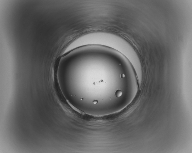 X0000112950205200908311516