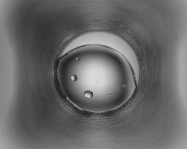 X0000112950207200908311516