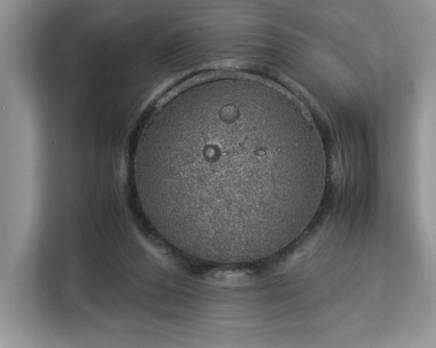 X0000112950208200908311516