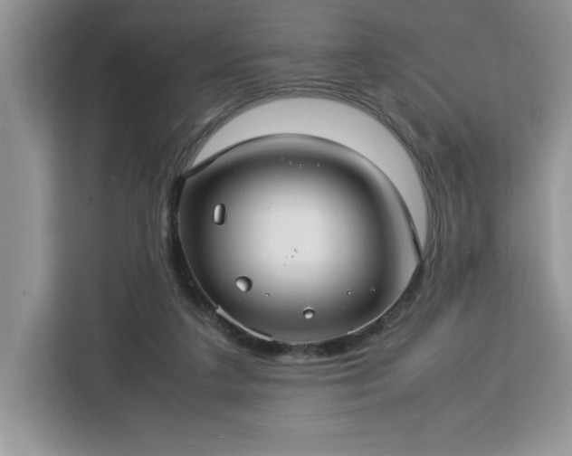 X0000112950211200908311516