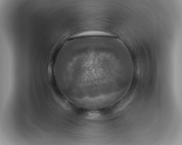 X0000112950214200908311516