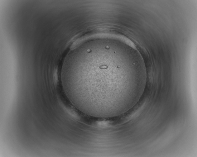 X0000112950216200908311516