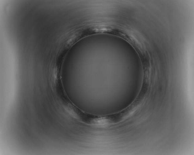 X0000112950219200908311516