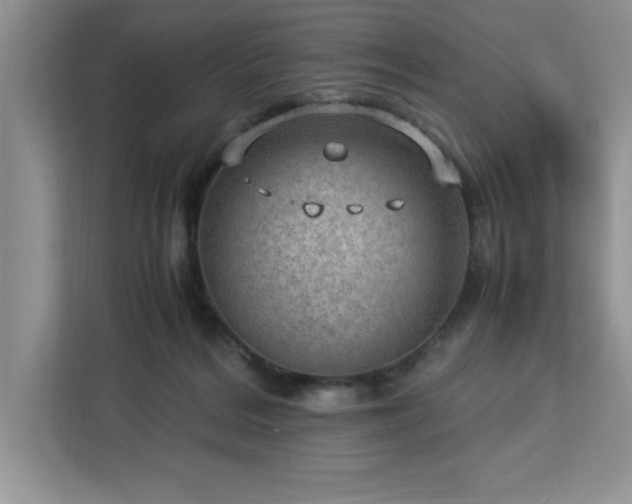 X0000112950220200908311516