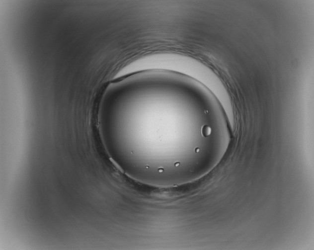 X0000112950221200908311516