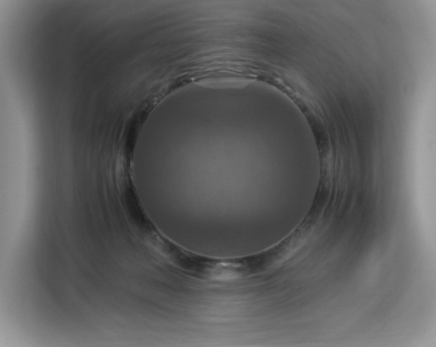 X0000112950222200908311516