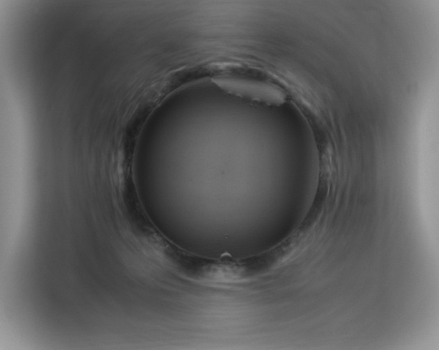 X0000112950223200908311516