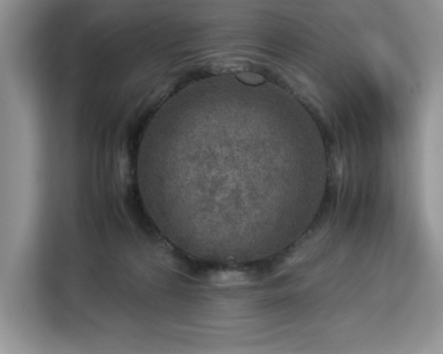 X0000112950224200908311516