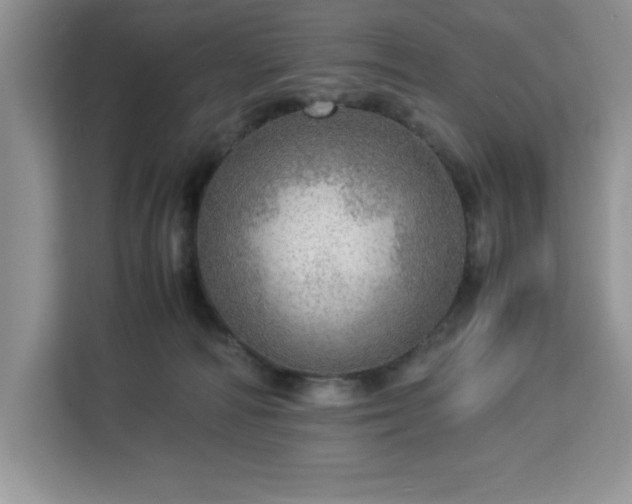 X0000112950226200908311516