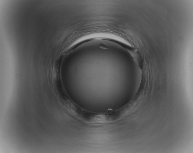 X0000112950227200908311516