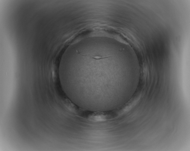 X0000112950228200908311516