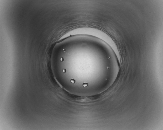 X0000112950229200908311516