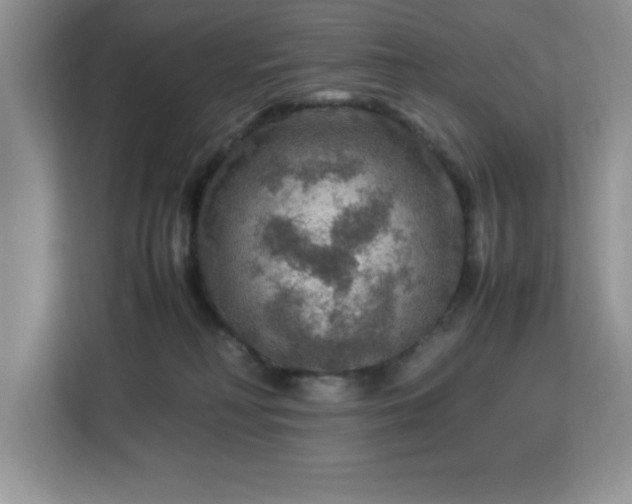 X0000112950230200908311516