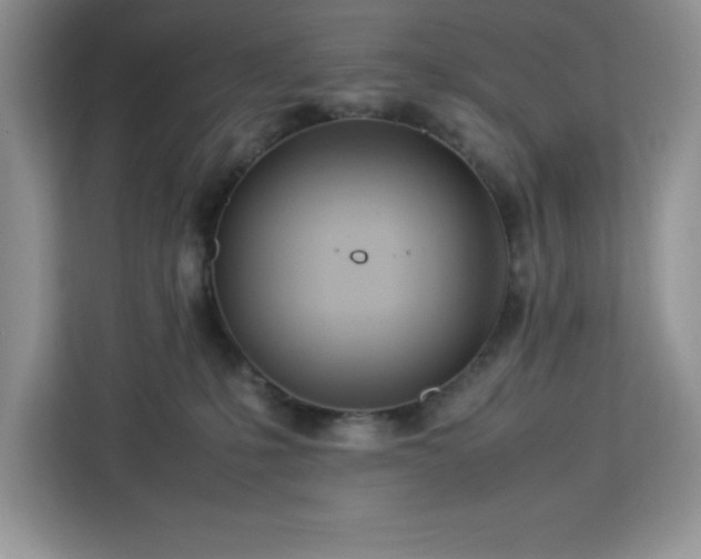 X0000112950231200908311516