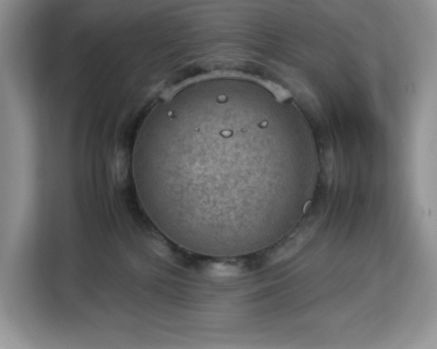 X0000112950232200908311516