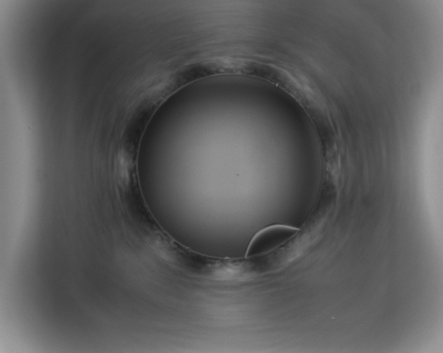 X0000112950235200908311516