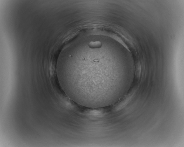 X0000112950236200908311516