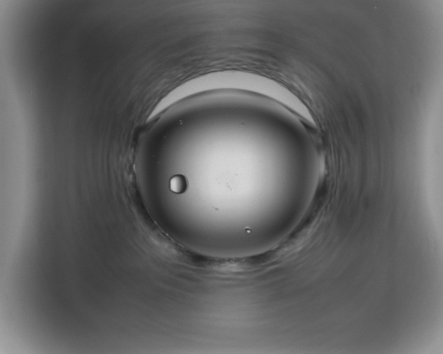 X0000112950237200908311515