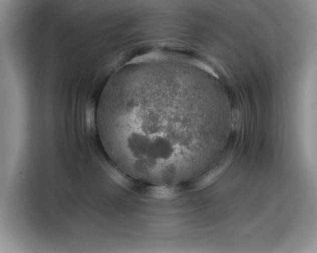 X0000112950238200908311515