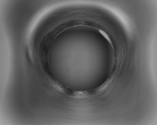 X0000112950239200908311515