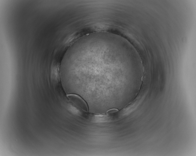 X0000112950240200908311515