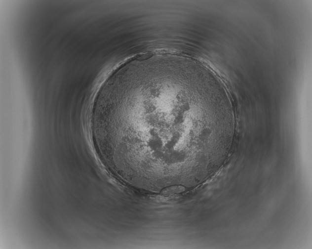 X0000112950241200908311515