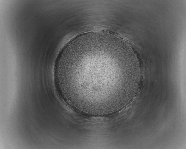 X0000112950242200908311515