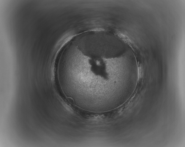 X0000112950243200908311515