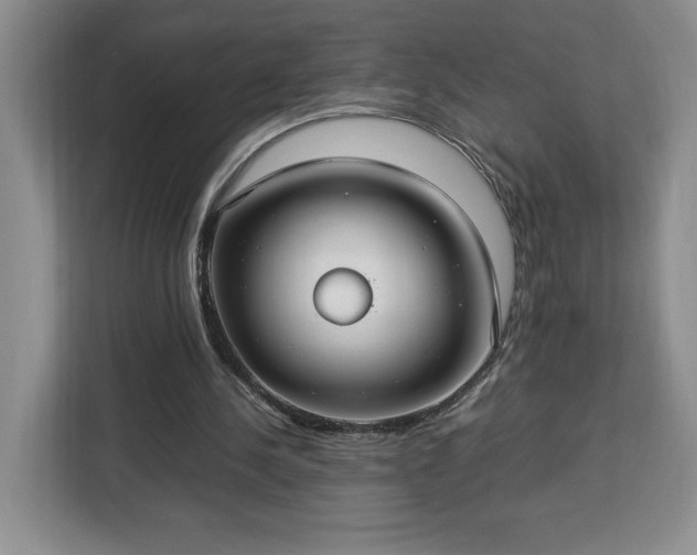 X0000112950244200908311515