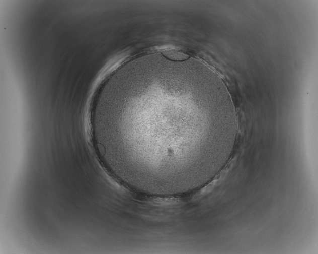 X0000112950245200908311515