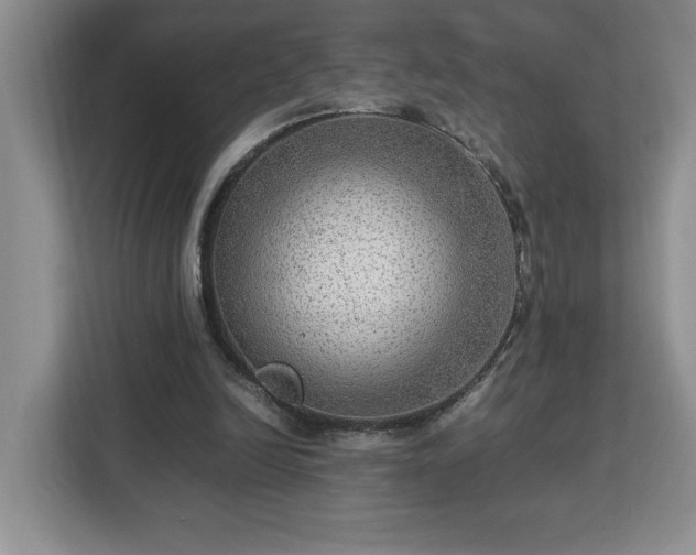 X0000112950246200908311515