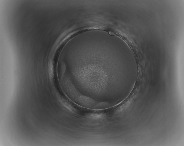 X0000112950247200908311515