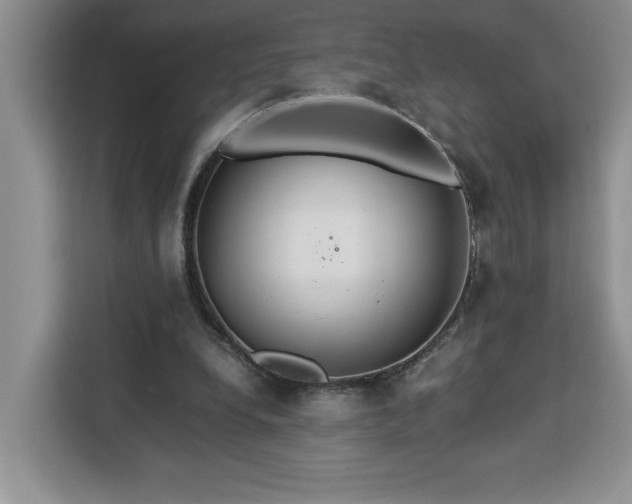 X0000112950248200908311515