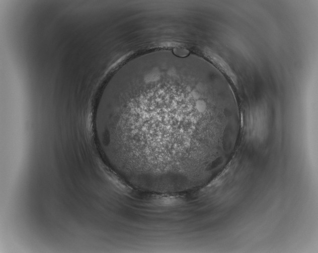 X0000112950249200908311515