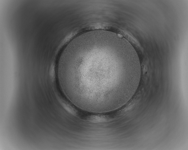 X0000112950250200908311515