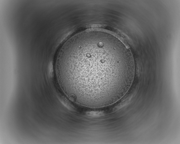 X0000112950251200908311515