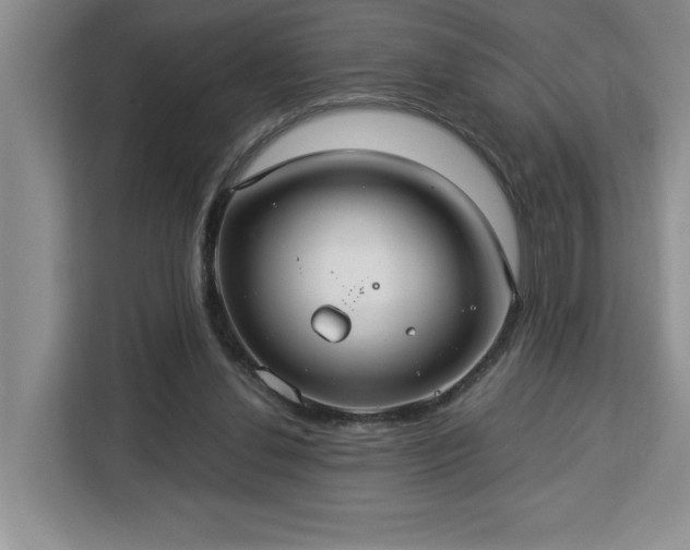 X0000112950252200908311515