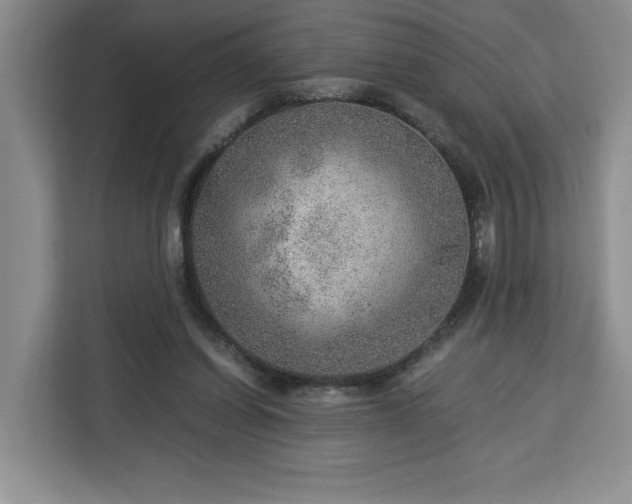 X0000112950254200908311515