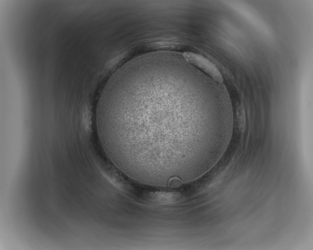 X0000112950255200908311515