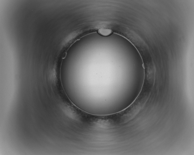 X0000112950256200908311515