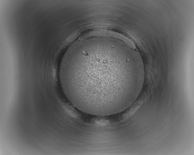 X0000112950258200908311515