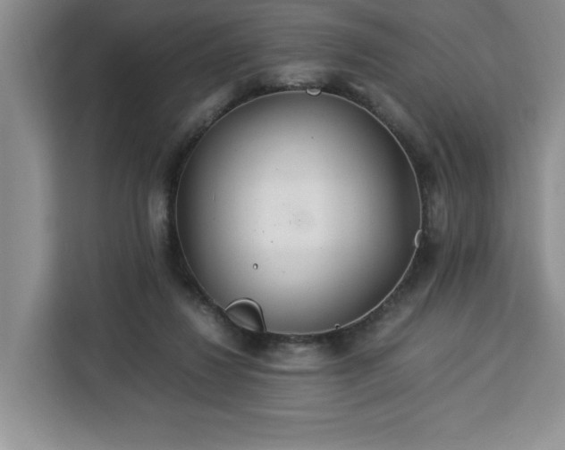 X0000112950260200908311515