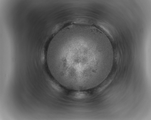 X0000112950261200908311515