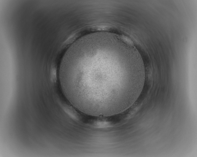 X0000112950262200908311515