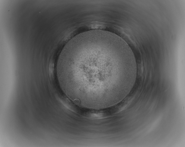 X0000112950263200908311515